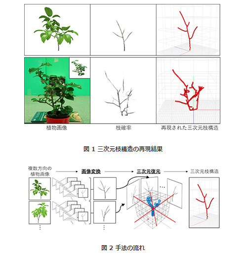 大阪大学 植物を複数方向から撮影した画像から 葉などに隠れた枝構造も正確に再現するdeep Learningを用いた手法を発表 Seamless